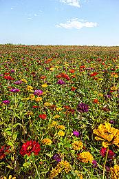 《星之海洋2：第二个故事R》1.1更新即将上线，添加新难度新Boss